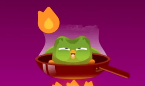 Duolingo Widget Background